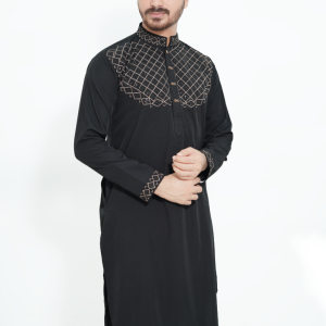 Premium Quality Sequence Punjabi