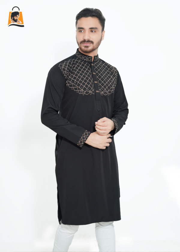 Premium Quality Sequence Punjabi